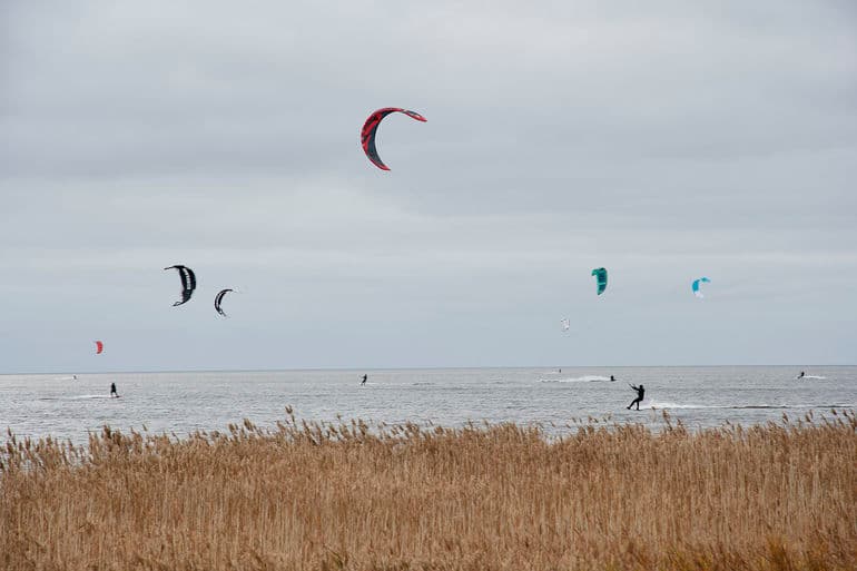 Hans Meineche/Biofoto/Scanpix