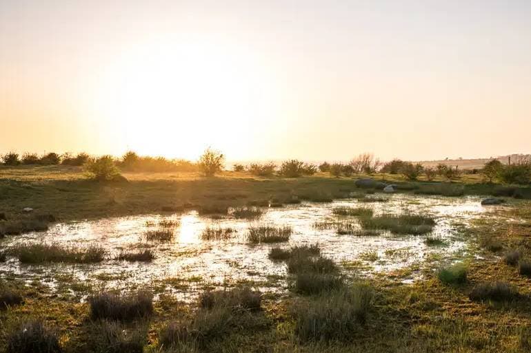 Ministeriet for Grøn Trepart