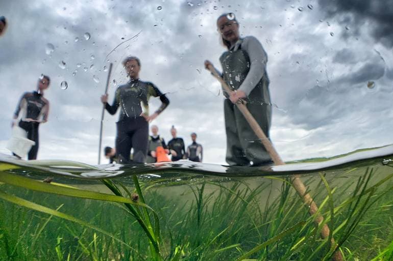 Havsamarbejdet i Østjylland