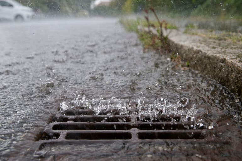Morten Rasmussen/Biofoto/Ritzau Scanpix